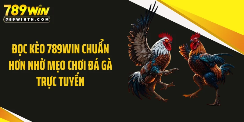 Đọc kèo 789WIN chuẩn hơn nhờ mẹo chơi đá gà trực tuyến