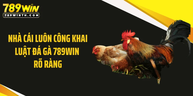 Nhà cái luôn công khai luật đá gà 789WIN rõ ràng