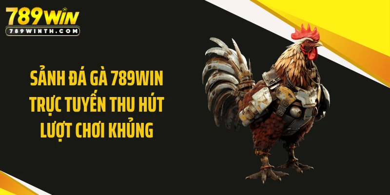Sảnh đá gà 789WIN trực tuyến thu hút lượt chơi khủng
